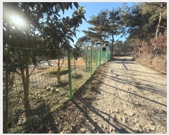  2024Ÿ��6941 �λ� ���屺 ����� �ݷ渮 ��30-1      ����(�Ӿ�)���