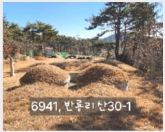  2024Ÿ��6941 �λ� ���屺 ����� �ݷ渮 ��30-1      ����(�Ӿ�)���