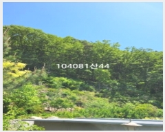  2024Ÿ104081  (Ӿ)