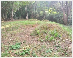  2024Ÿ��111119  �Ӿ߰��