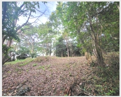  2024Ÿ��111119  �Ӿ߰��