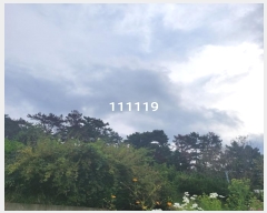  2024Ÿ��111119  �Ӿ߰��