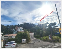  2024Ÿ��111119  �Ӿ߰��