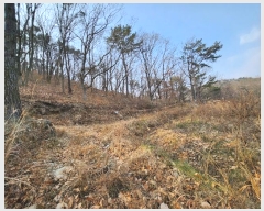  2024Ÿ��113627 �λ� ���屺 ����� ��Ҹ� ��138-25      ����(�Ӿ�)���