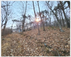  2024Ÿ��113627 �λ� ���屺 ����� ��Ҹ� ��138-25      ����(�Ӿ�)���