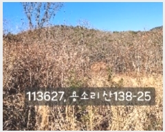  2024Ÿ��113627 �λ� ���屺 ����� ��Ҹ� ��138-25      ����(�Ӿ�)���