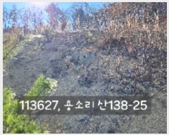  2024Ÿ��113627 �λ� ���屺 ����� ��Ҹ� ��138-25      ����(�Ӿ�)���