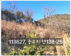  2024Ÿ��113627 �λ� ���屺 ����� ��Ҹ� ��138-25      ����(�Ӿ�)���