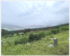  2024Ÿ3911 λ 屺   129-1      (Ӿ)