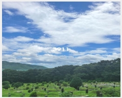  2024Ÿ3911 λ 屺   129-1      (Ӿ)