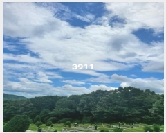  2024Ÿ3911 λ 屺   129-1      (Ӿ)