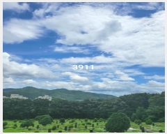  2024Ÿ3911 λ 屺   129-1      (Ӿ)