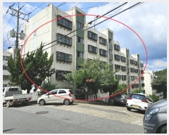  2024Ÿ��4662  ����Ʈ���