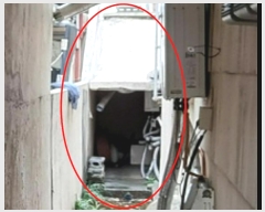  2024Ÿ��5160  ���ð��