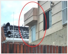  2024Ÿ��5160  ���ð��