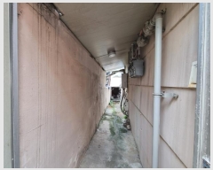  2024Ÿ��5160  ���ð��