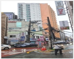  2024Ÿ��5177 �λ� ���� ����� 98, 10��1003ȣ (�뿬��,�뿬�����þ�)     ���ǽ��ڰ��