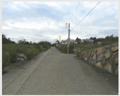  2024Ÿ��5184 �λ� ���屺 �ϱ��� ��õ�� 584      ������