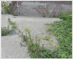  2024Ÿ��5184 �λ� ���屺 �ϱ��� ��õ�� 584      ������