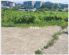  2024Ÿ��5184 �λ� ���屺 �ϱ��� ��õ�� 584      ������