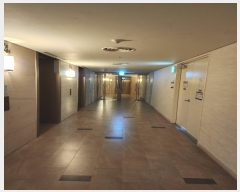  2024Ÿ6675 λ ؿ뱸 Ƽ2 38, ֵ1 535310ȣ (쵿,ؿũ)    Ʈ