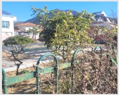  2024Ÿ6743 λ 屺 ö  402-80      ()