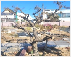  2024Ÿ6743 λ 屺 ö  402-80      ()