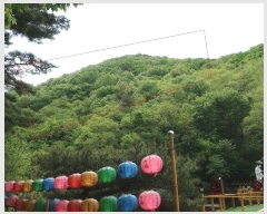  2024Ÿ103774 λ 屺   21-1      (Ӿ)