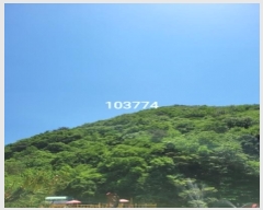  2024Ÿ103774 λ 屺   21-1      (Ӿ)