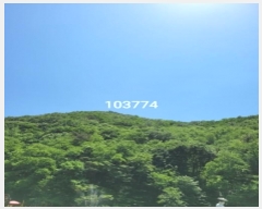  2024Ÿ103774 λ 屺   21-1      (Ӿ)