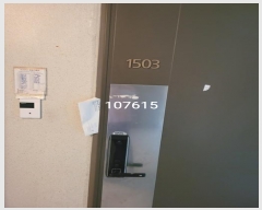  2024Ÿ107615  Ʈ
