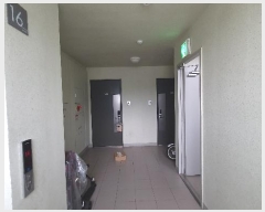  2024Ÿ109451 λ 屺   350, 310 161603ȣ (3Ʈ)   Ʈ