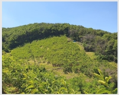  2024Ÿ��3219 �泲 â���� ��â�� �ϸ� ���踮 529-1     ����(������)���