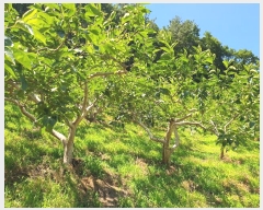  2024Ÿ��3219 �泲 â���� ��â�� �ϸ� ���踮 529-1     ����(������)���