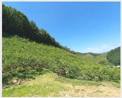  2024Ÿ��3219 �泲 â���� ��â�� �ϸ� ���踮 529-1     ����(������)���