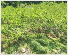  2024Ÿ��3219 �泲 â���� ��â�� �ϸ� ���踮 529-1     ����(������)���