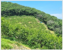  2024Ÿ��3219 �泲 â���� ��â�� �ϸ� ���踮 529-1     ����(������)���