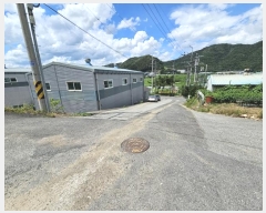  2024Ÿ��4878  ������