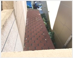  2024Ÿ��6058  ���ð��