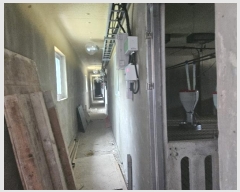  2024Ÿ��107753 �泲 ���ؽ� �Ѹ��� ��渮 388      ���(�󰡽ü�)���