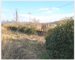  2024Ÿ116849 泲 ؽ  긮 18-6      (1)