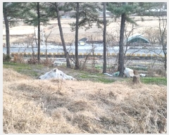  2024Ÿ116849 泲 ؽ  긮 18-6      (1)