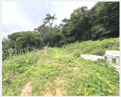  2024Ÿ��3608 �泲 â���� ���ر� ��õ�� 47-1      ����(��1)���