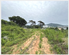  2024Ÿ��3608 �泲 â���� ���ر� ��õ�� 47-1      ����(��1)���