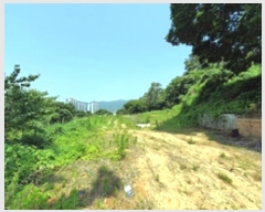  2024Ÿ��3608 �泲 â���� ���ر� ��õ�� 47-1      ����(��1)���