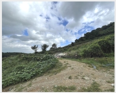  2024Ÿ5086 泲 ؽ  °︮ 65-2      (Ӿ)