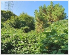  2024Ÿ5086 泲 ؽ  °︮ 65-2      (Ӿ)