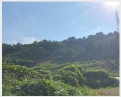  2024Ÿ5086 泲 ؽ  °︮ 65-2      (Ӿ)