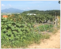  2024Ÿ5086 泲 ؽ  °︮ 65-2      (Ӿ)