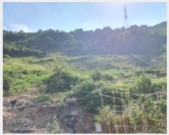  2024Ÿ5086 泲 ؽ  °︮ 65-2      (Ӿ)